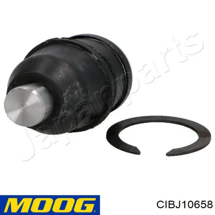 CIBJ10658 Moog Sworzeń wahacza dolny