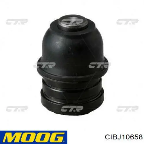 Sworzeń wahacza dolny Moog CIBJ10658 cena, od 13,43 USD