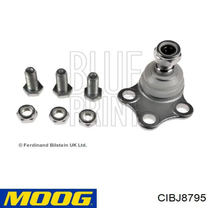 Sworzeń wahacza dolny Moog CIBJ8795 cena, od 15,01 USD