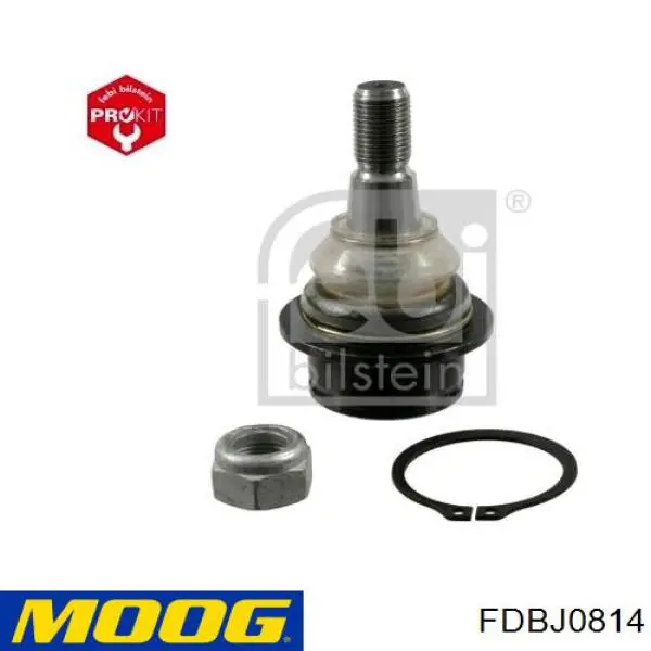 Do koszyka FDBJ0814 Moog Sworzeń wahacza dolny