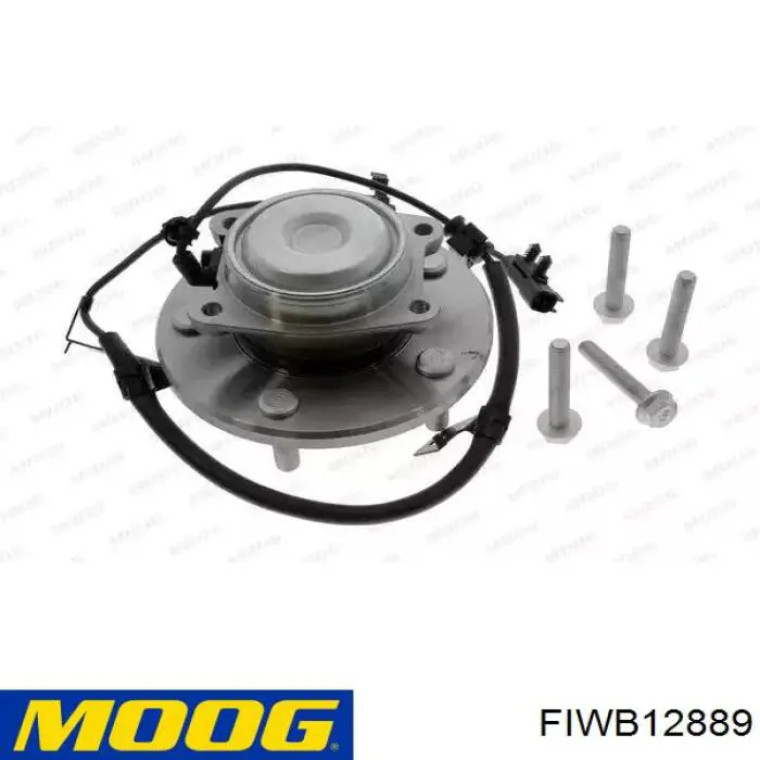 FIWB12889 Moog Piasta tylna lewa