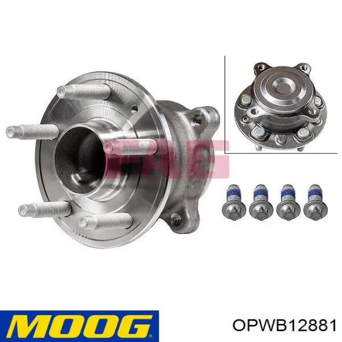 OPWB12881 Moog Piasta tylna