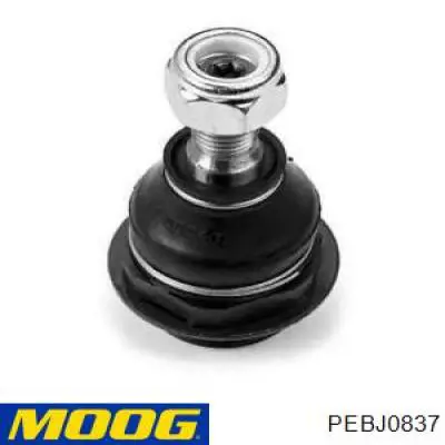 Sworzeń wahacza dolny Moog PEBJ0837 cena, od 14,97 USD