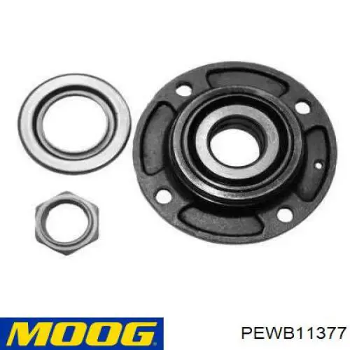 Piasta tylna Moog PEWB11377 cena, od 44,49 USD