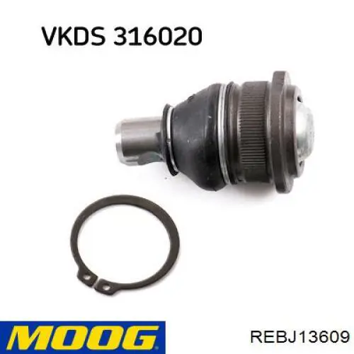 REBJ13609 Moog Sworzeń wahacza dolny