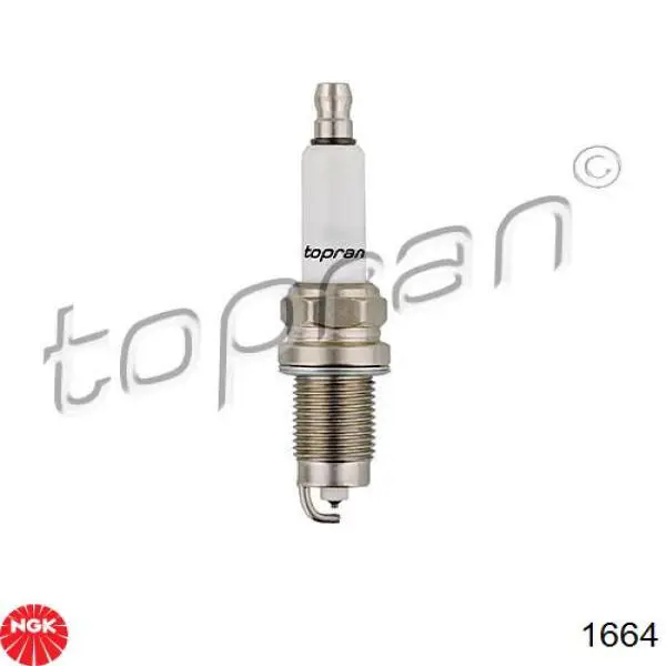 Do koszyka 1664 NGK Świeca zapłonowa