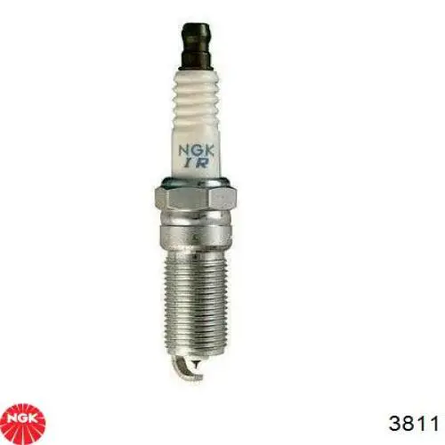 Do koszyka 3811 NGK Świeca zapłonowa