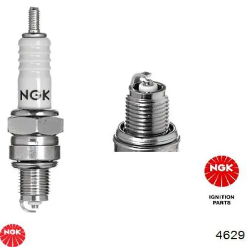 Do koszyka 4629 NGK Świeca zapłonowa