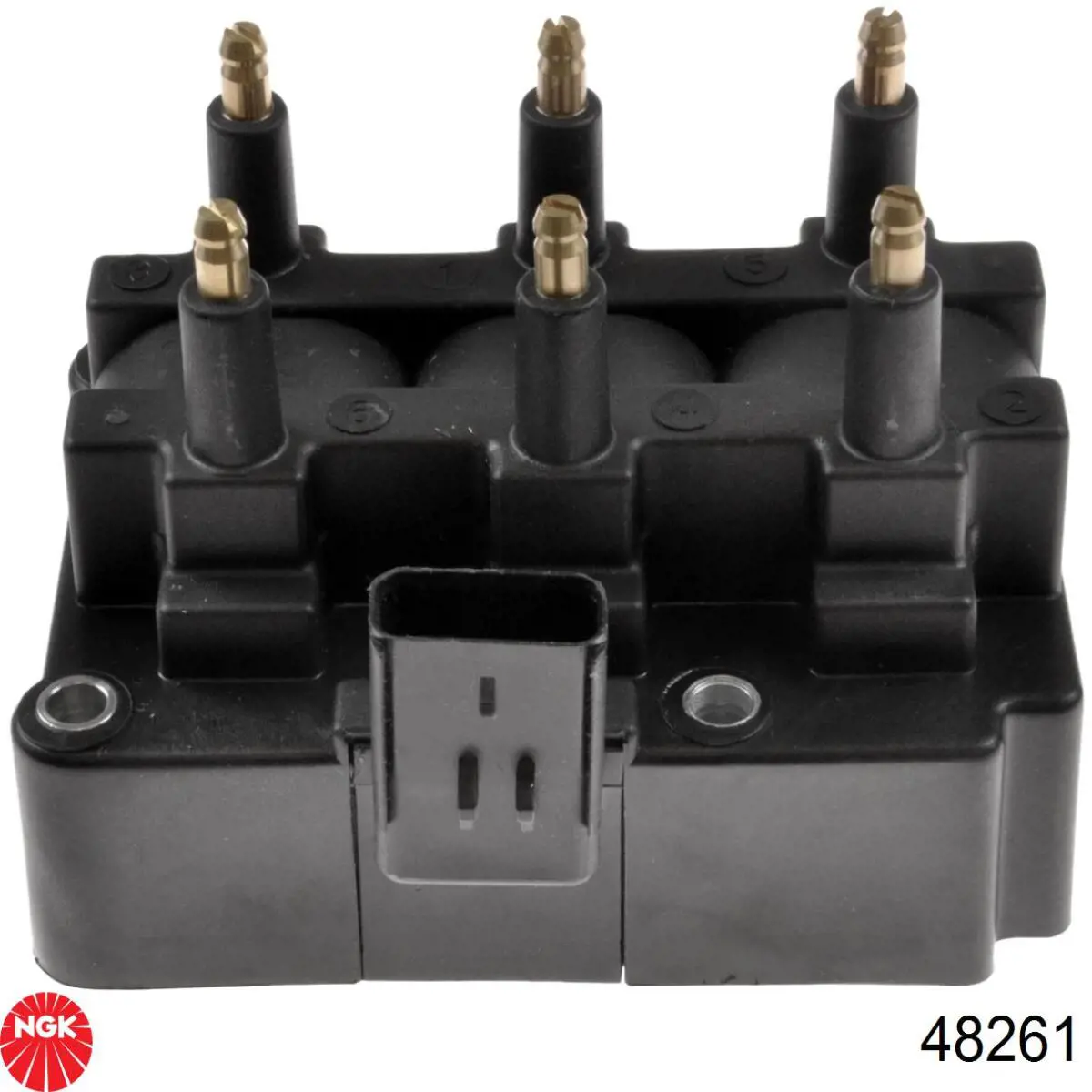 Do koszyka 48261 NGK Cewka zapłonowa