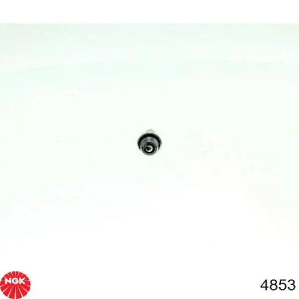 Do koszyka 4853 NGK Świeca zapłonowa
