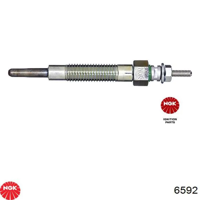 6592 NGK Świeca żarowa