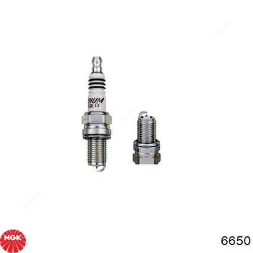 Świeca zapłonowa NGK 6650 cena, od 8,31 USD