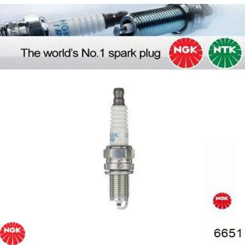 Świeca zapłonowa NGK 6651 cena, od 8,31 USD