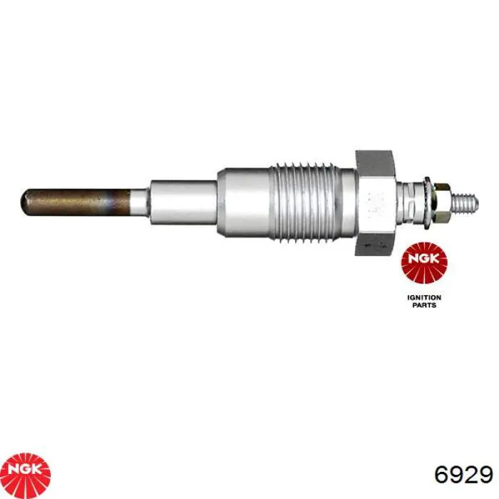 Do koszyka Y810 NGK Świeca żarowa