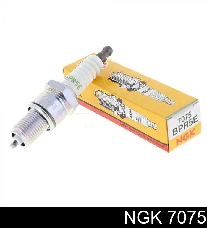 Świeca zapłonowa NGK 7075 cena, od 3,76 USD