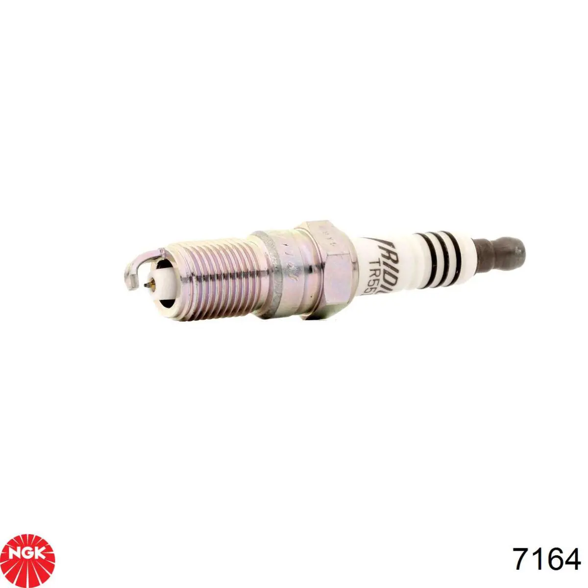 Do koszyka 7164 NGK Świeca zapłonowa
