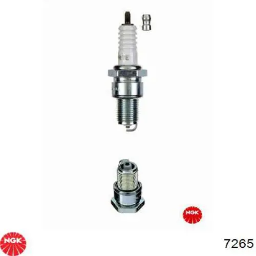 Świeca zapłonowa NGK 7265 cena, od 4,85 USD
