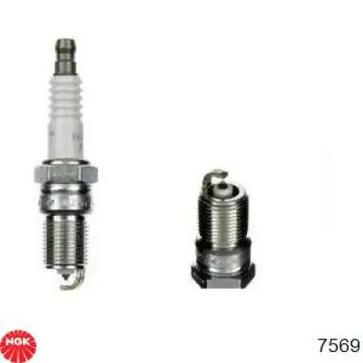 Do koszyka 7569 NGK Świeca zapłonowa