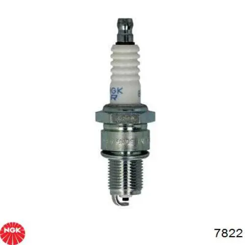Świeca zapłonowa NGK 7822 cena, od 5,31 USD