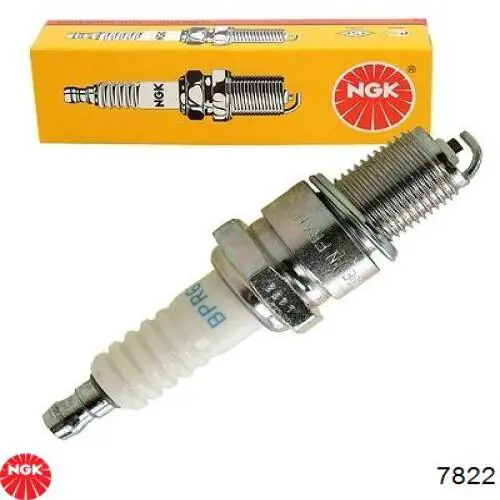 Do koszyka 7822 NGK Świeca zapłonowa