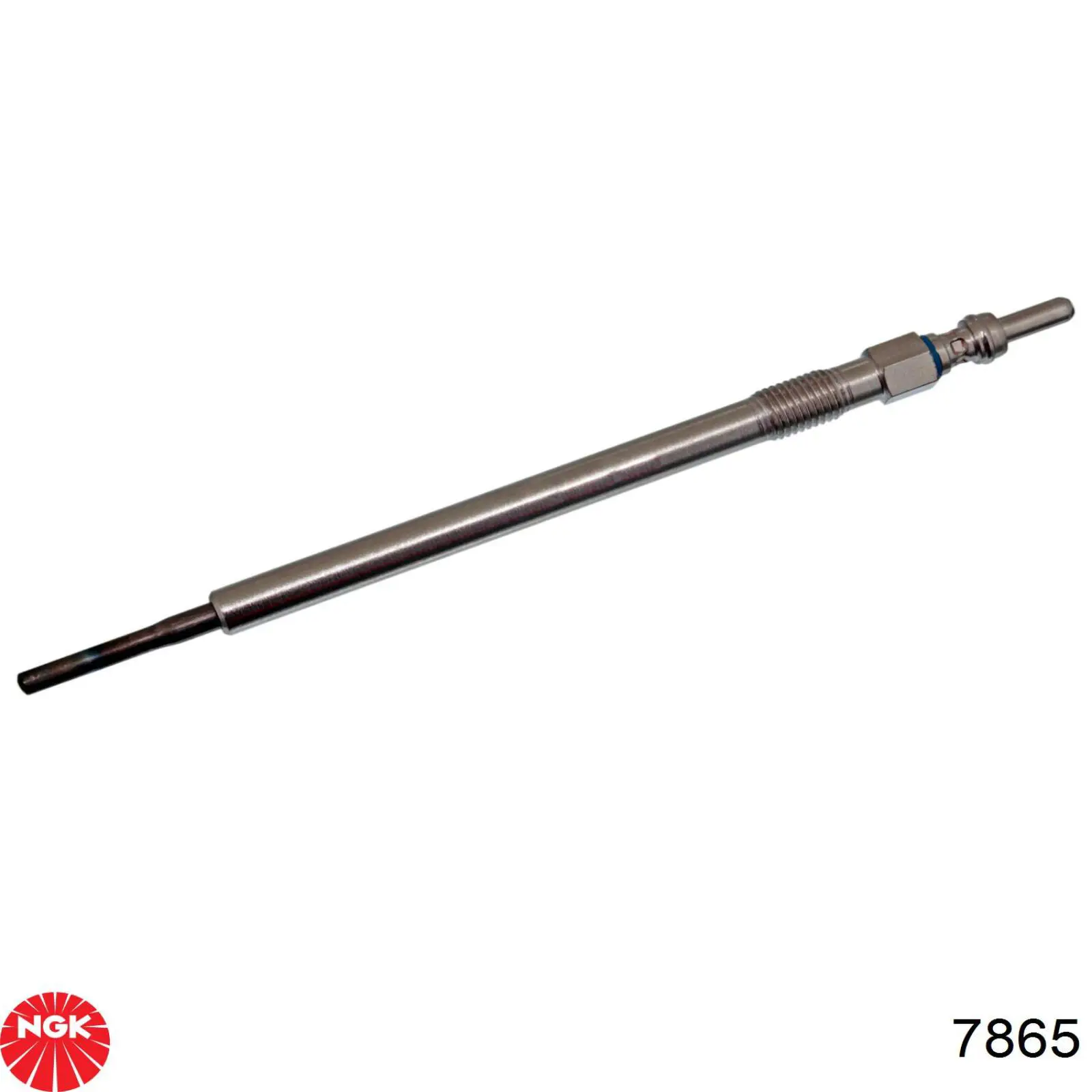 Do koszyka 7865 NGK Świeca żarowa