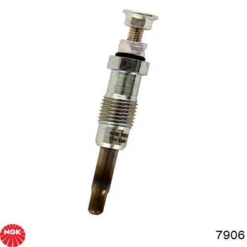 7906 NGK Świeca żarowa