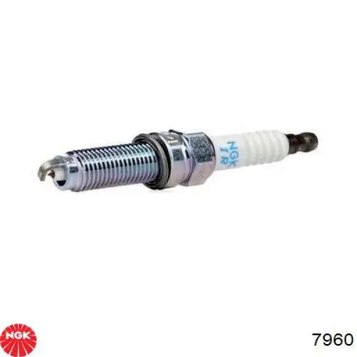Świeca zapłonowa NGK 7960 cena, od 16,62 USD