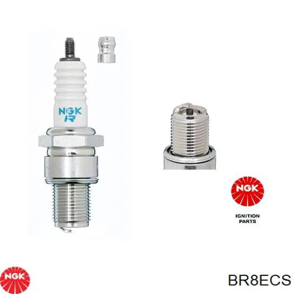 Świeca zapłonowa NGK BR8ECS cena, od 6,54 USD