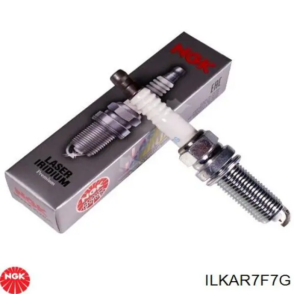 Świeca zapłonowa NGK ILKAR7F7G