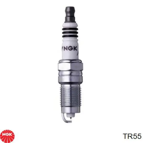 TR55 NGK Świeca zapłonowa