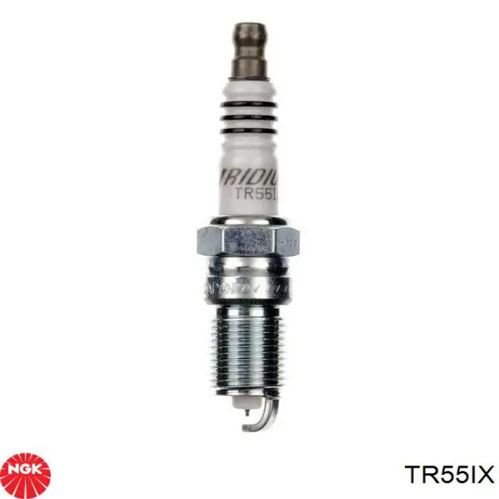 TR55IX NGK Świeca zapłonowa