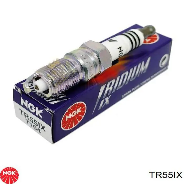 Do koszyka TR55IX NGK Świeca zapłonowa