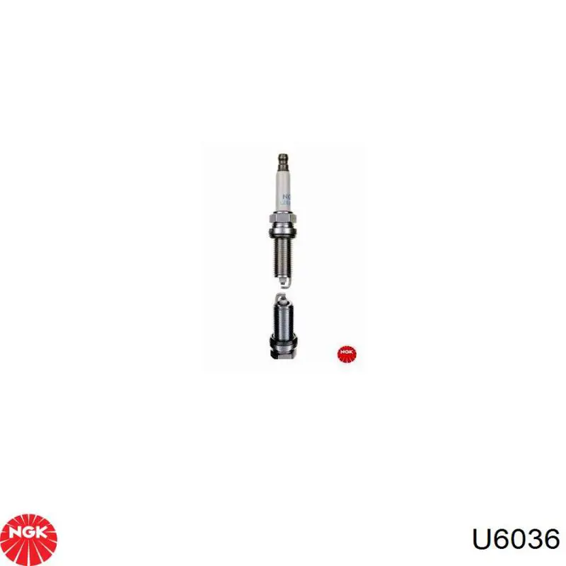 Cewka zapłonowa NGK U6036 cena, od 54,04 USD