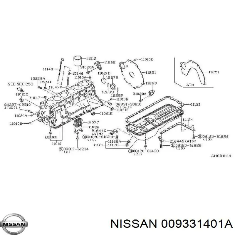 Zaślepka głowicy cylindrów/bloku cylindrów do Nissan X-Trail  T31