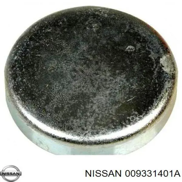 Do koszyka Zaślepka głowicy cylindrów/bloku cylindrów Nissan X-Trail  T31