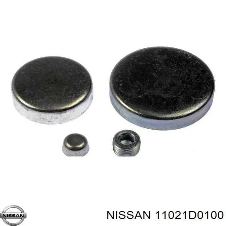 11021D0100 Nissan/Infiniti Zaślepka głowicy cylindrów/bloku cylindrów