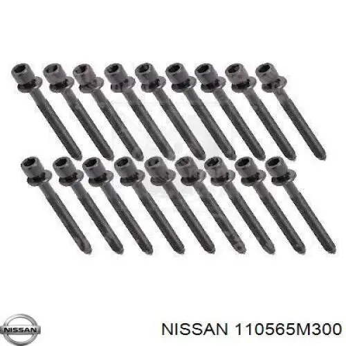 Śruba głowicy cylindrów Nissan/Infiniti 110565M300 cena, od 44,94 USD