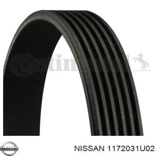 Do koszyka 1172031U02 Nissan/Infiniti Pas napędowy mechanizmów