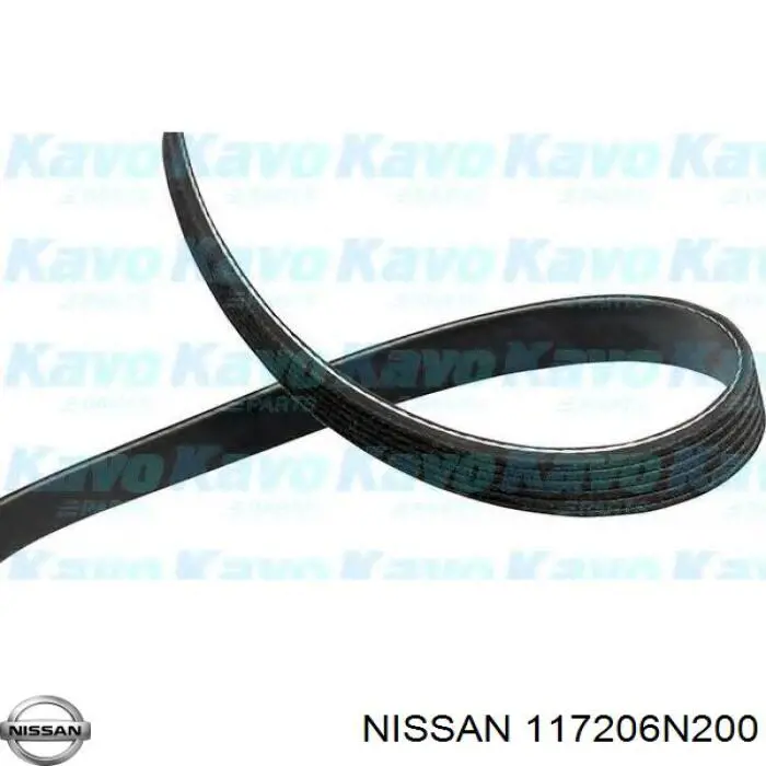 Do koszyka 117206N200 Nissan/Infiniti Pas napędowy mechanizmów