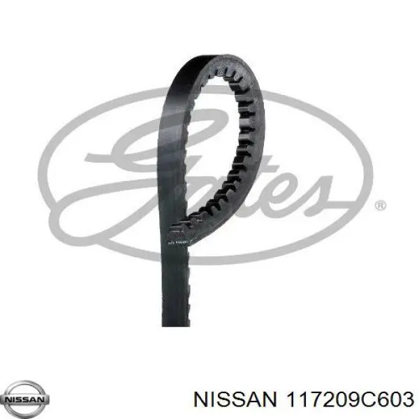 117209C603 Nissan/Infiniti Pas napędowy mechanizmów