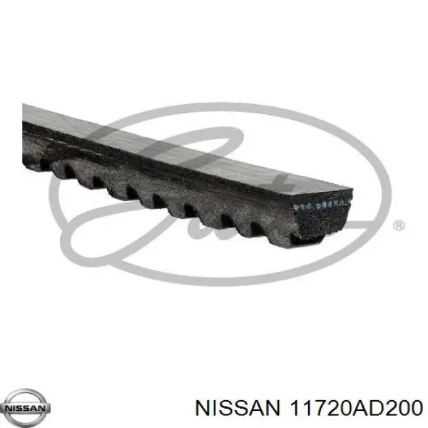 Do koszyka 11720AD200 Nissan/Infiniti Pas napędowy mechanizmów