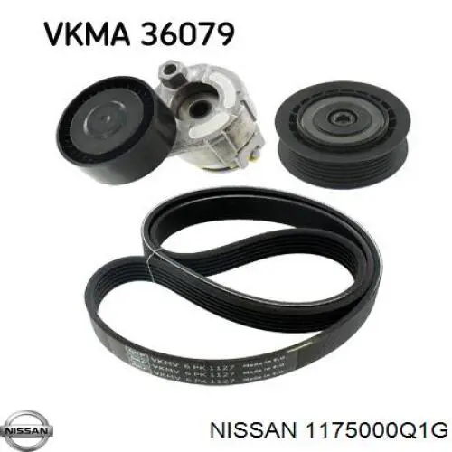1175000Q1G Nissan/Infiniti Napinacz paska napędowego