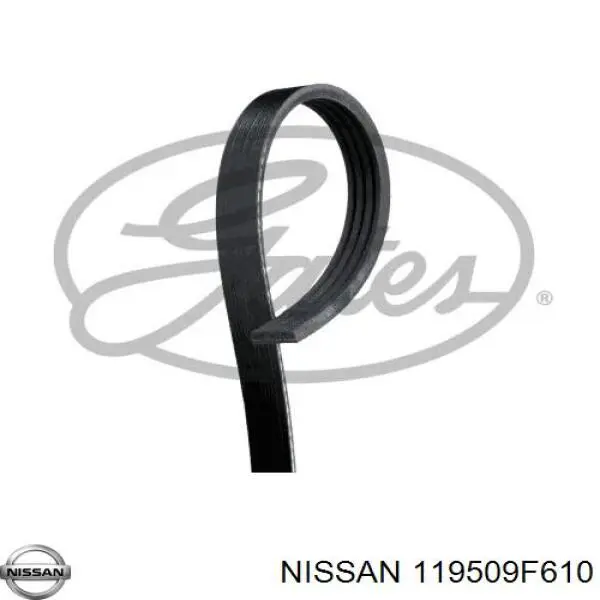 Pas napędowy mechanizmów Nissan/Infiniti 119509F610 cena, od 7,71 USD