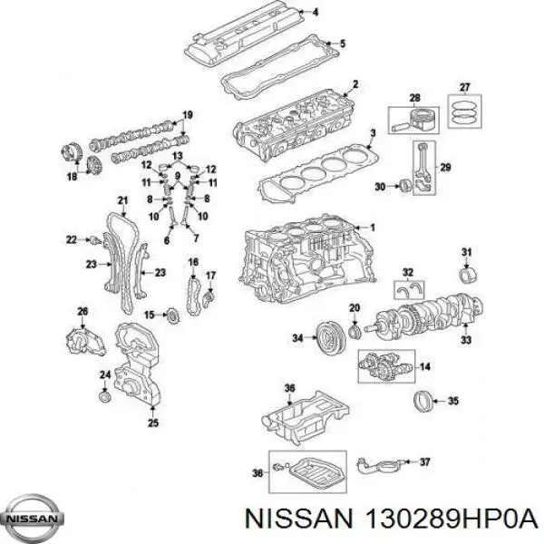 130289HP0A Nissan/Infiniti Łańcuch rozrządu
