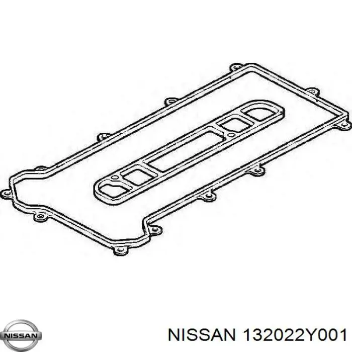 132022Y001 Nissan/Infiniti Zawór wydechowy