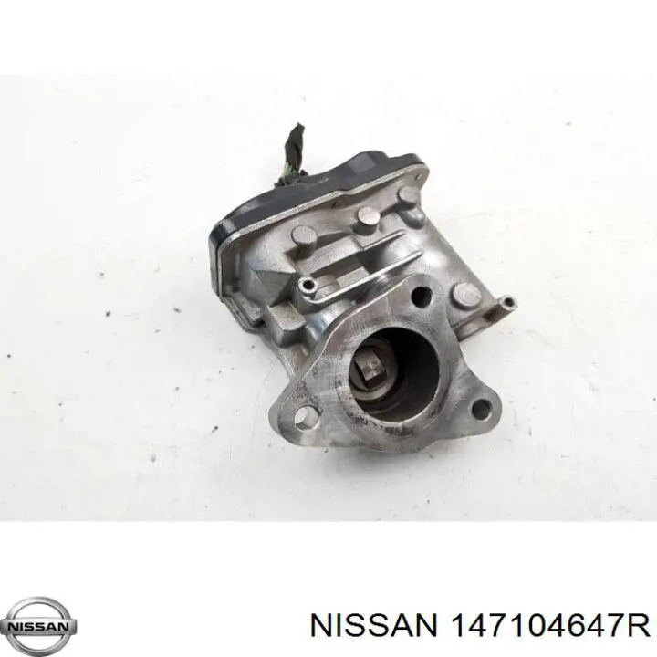 8201143495 Nissan/Infiniti Zawór obejściowy (by-pass) ERG recyrkulacji spalin