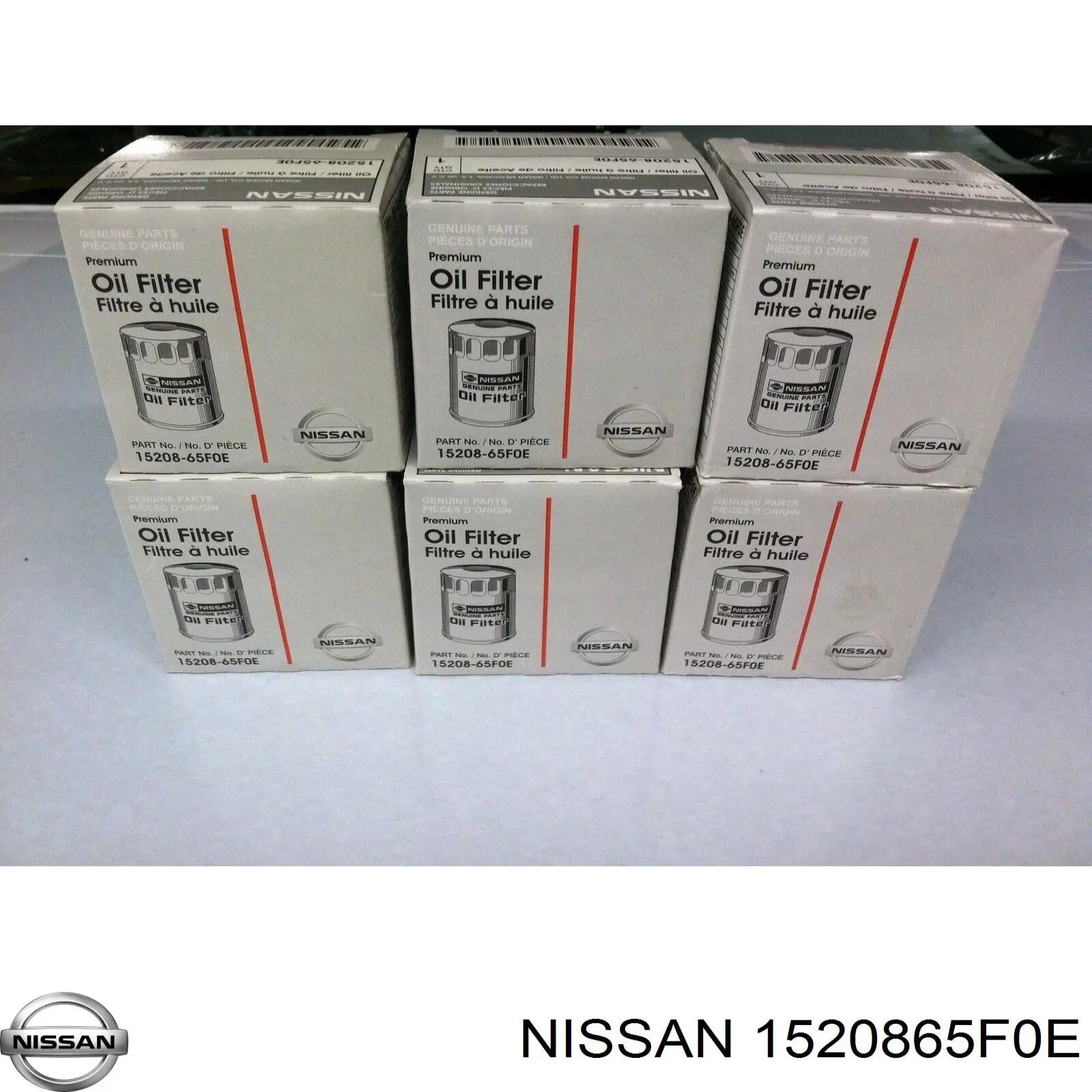 1520865F0E Nissan/Infiniti Filtr oleju