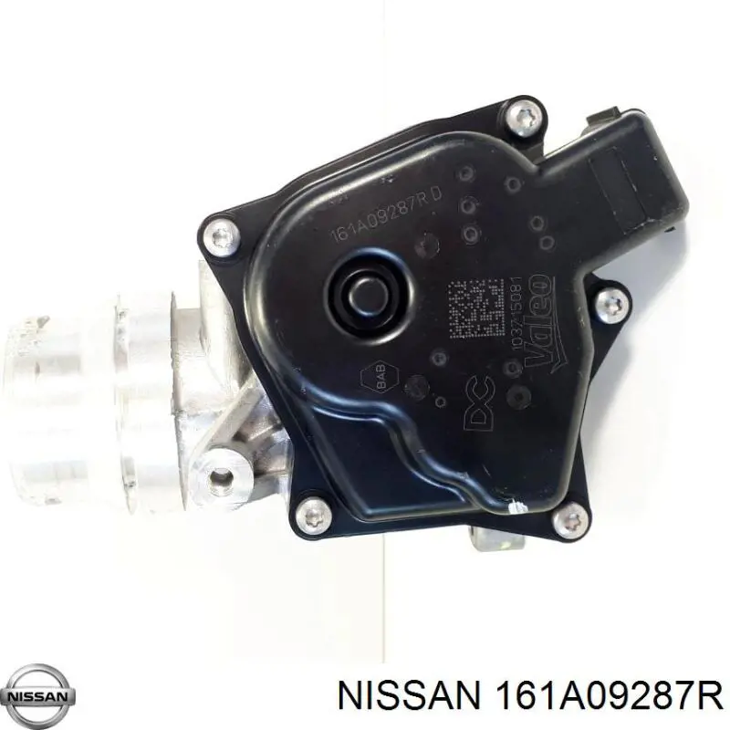 Do koszyka 161A09287R Nissan/Infiniti Przepustnica, komplet
