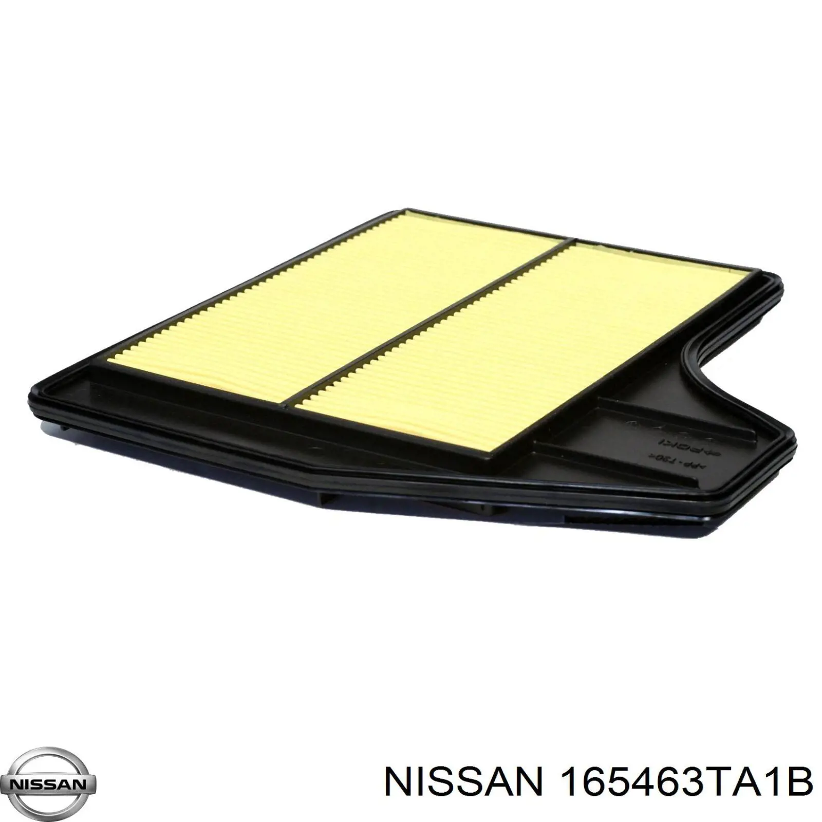 165463TA1B Nissan/Infiniti Filtr powietrza
