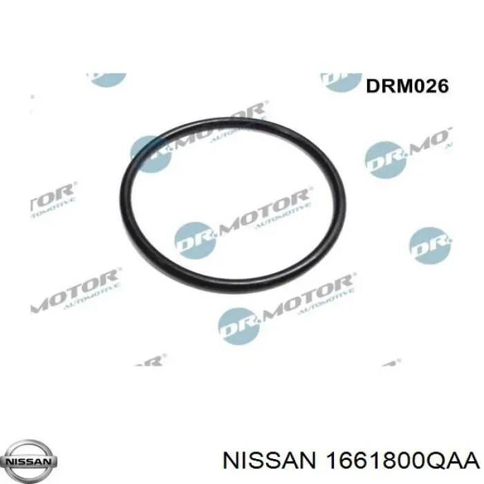 1661800QAA Nissan/Infiniti Uszczelka przepustnicy